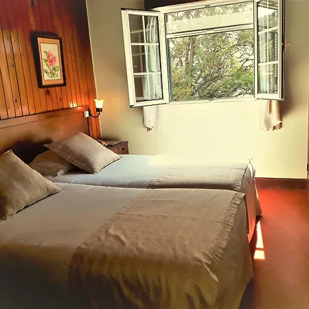 大金塔德弗兰卡酒店 4* 丰沙尔