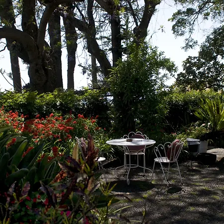 大金塔德弗兰卡酒店 丰沙尔